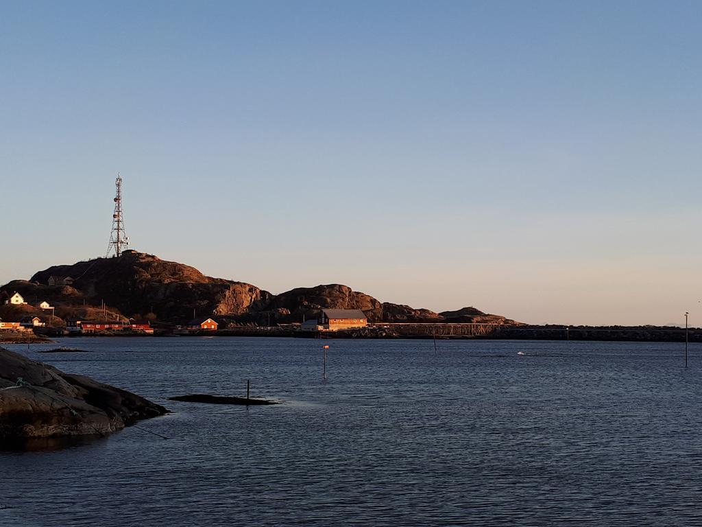 莫斯克内斯Sjohaug Rorbu公寓 外观 照片